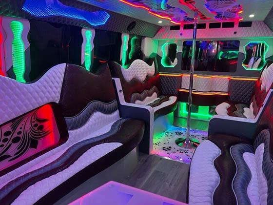 40 passenger limo bus